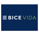 Bice Vida